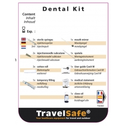 Sterylna apteczka zestaw narzędzi Dental Kit 42 elementy - TravelSafe
